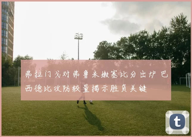 弗拉门戈对弗鲁米嫩塞比分出炉 巴西德比攻防较量揭示胜负关键