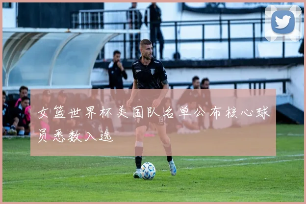 女篮世界杯美国队名单公布核心球员悉数入选