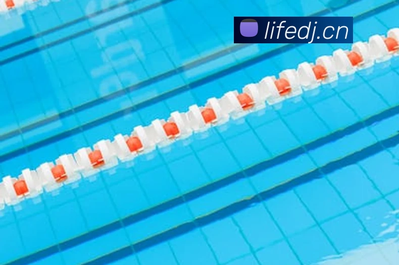 App Interface Preview