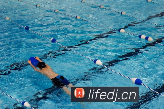 尊龙人生就是 首页APP 封面图